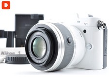 [TOP MINT/SC:1511] Corpo