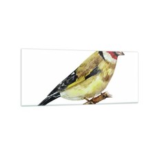 Quadro su Vetro 120x50cm