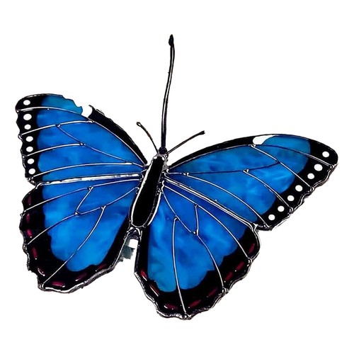 Colorata acchiappasole in - colorata,