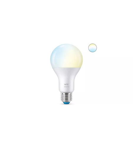 Lampadina smart philips - lampadina,