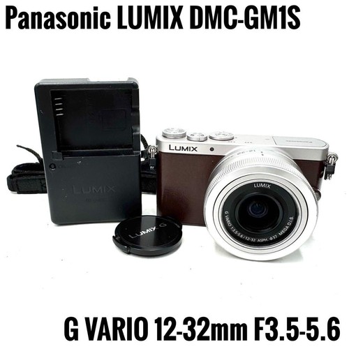 Panasonic lumix dmc gm1s - panasonic, kit
