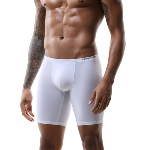 Boxer uomo lungo - , ghiaccio