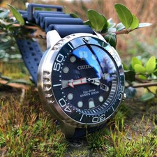 Steinhart Ocean One/Citizen