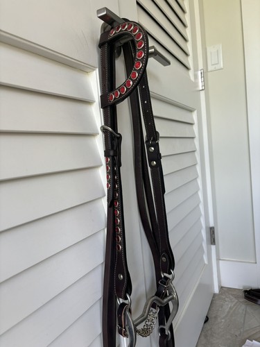 Briglia cavallo western