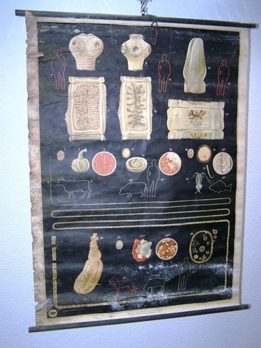 Vecchio lavagna didattica - vecchio,