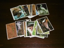 LOTTO DI 54 FIGURINE "IL MONDO DEGLI ANIMALI" EDIS