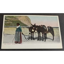 Cartolina Capri - Noleggiatrice d'Asini