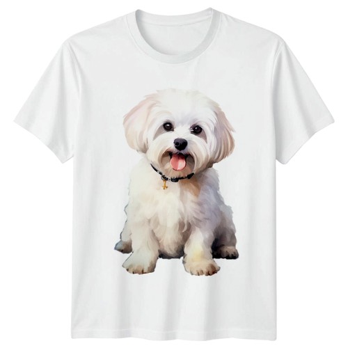 Shirt cane maltese regalo - t-shirt,