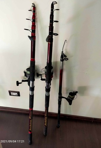 Lotto canne pesca - canne,
