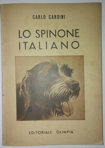 Carlo cardini spinone - carlo, lo