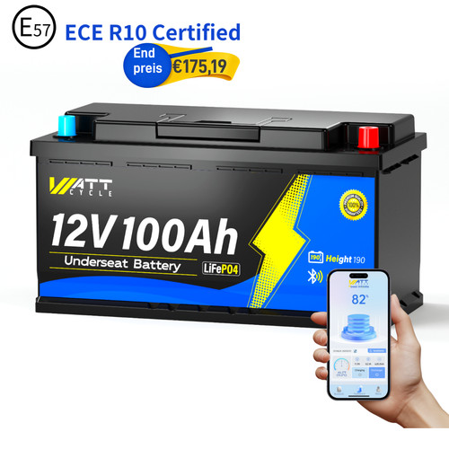 Batteria litio 100ah 12v - litio,