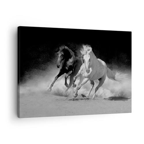 Quadro tela 70x50cm - su,