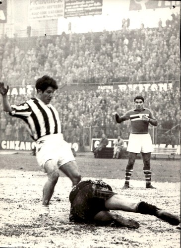 Foto originale agenzia - foto,