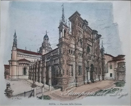 Pavia stampa antica - pavia,