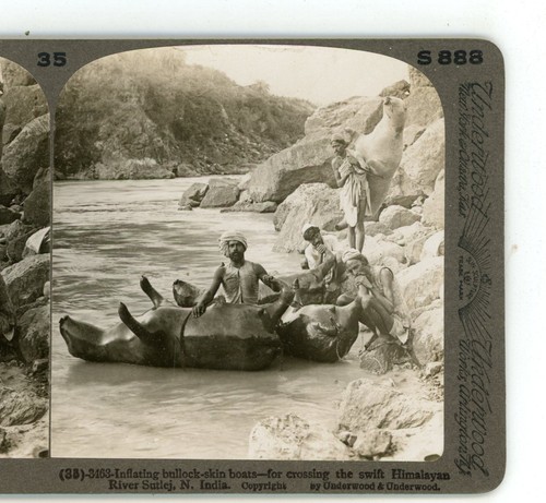 Sutlej river gonfiabile toro - sutlej,