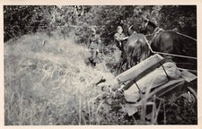 Verpflegungstelle Cocchio Im Seitengraben Reval / Tallin Estonia Fronte