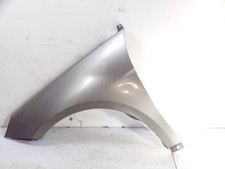 10131 Parafango Anteriore