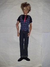 Ken Fashionistas (2010) no box Mattel