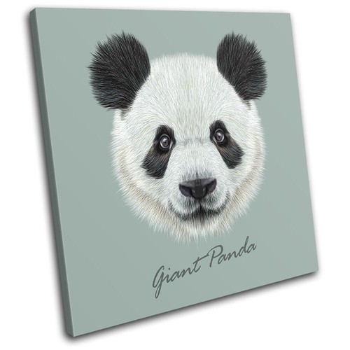 Giant panda face - panda, illustration