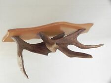 Magnifico Alce Corna