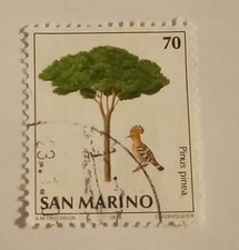 FRANCOBOLLO SAN MARINO-PINUS