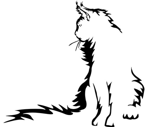 Adesivo maine coon sticker - -,