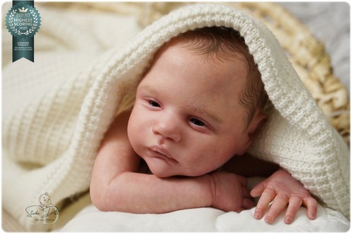 Studio doll boy reborn - studio-doll,