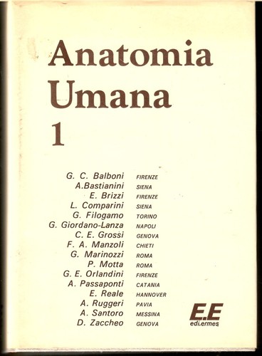 Anatomia umana vv ed - anatomia, aa.vv.