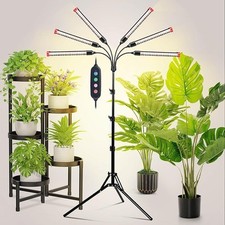 Lampada per piante - lampada, luce