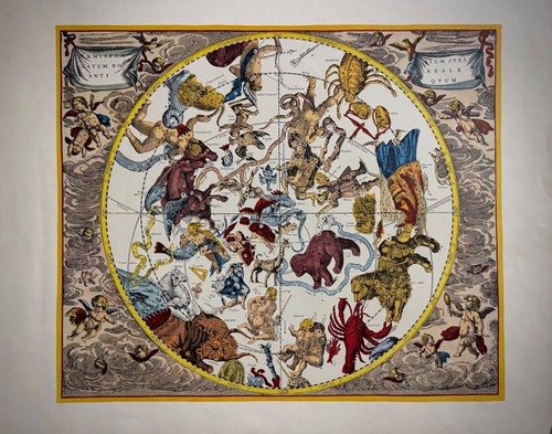 Harmonia macrocosmica - harmonia, macrocosmica-