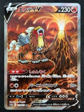 Raikou 218 172 s12a - 218/172, vstar