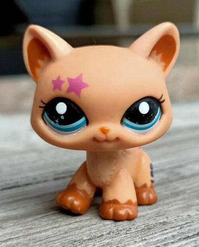 Littlest petshop chat - littlest, main