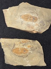 Double Unidentified Lower