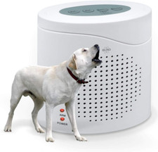 ARD51 Cane Da Guardia