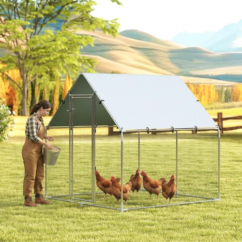Allmypets pollaio per - allmypets,