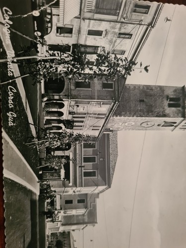 Cologna veneta corso - veneta, (verona)