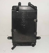 Radiatore Suzuki Burgman 250 400 1998  - 2000 - Radiator
