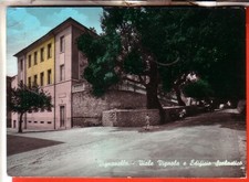 CARTOLINA  VIGNANELLO  ACQU  VIAGGIATA 1961 VIALE VIGNOLA E EDEFICIO SCOLASTICO