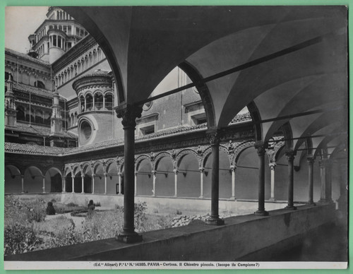 Alinari 14385 pavia - ed.,