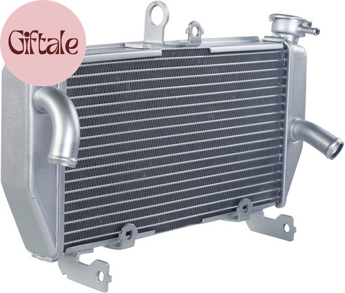Raffreddamento radiatore