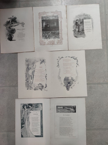 Lot belles - lot, 6