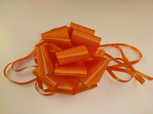 Fiocchi regalo bolis - fiocchi,