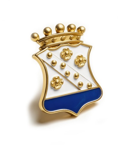 Spillino giacca argento - spillino,