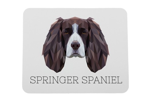 Springer spaniel inglese - springer,