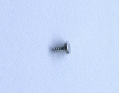 Rolex 3135 5110 - screw, for