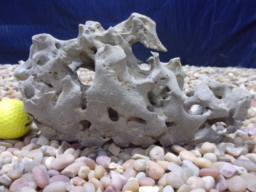 Texas holey rock - 04#,