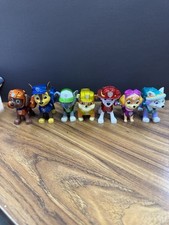 Paw Patrol Limited Edition