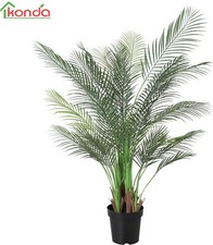 DecHome Palma Pianta