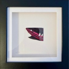 Damien Hirst – Unique Shark Cutout from Spin Painting – COA – Framed
