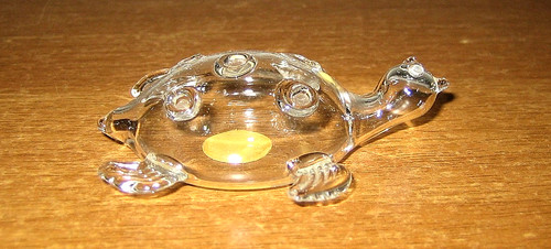 Tartaruga finissimo vetro - in,